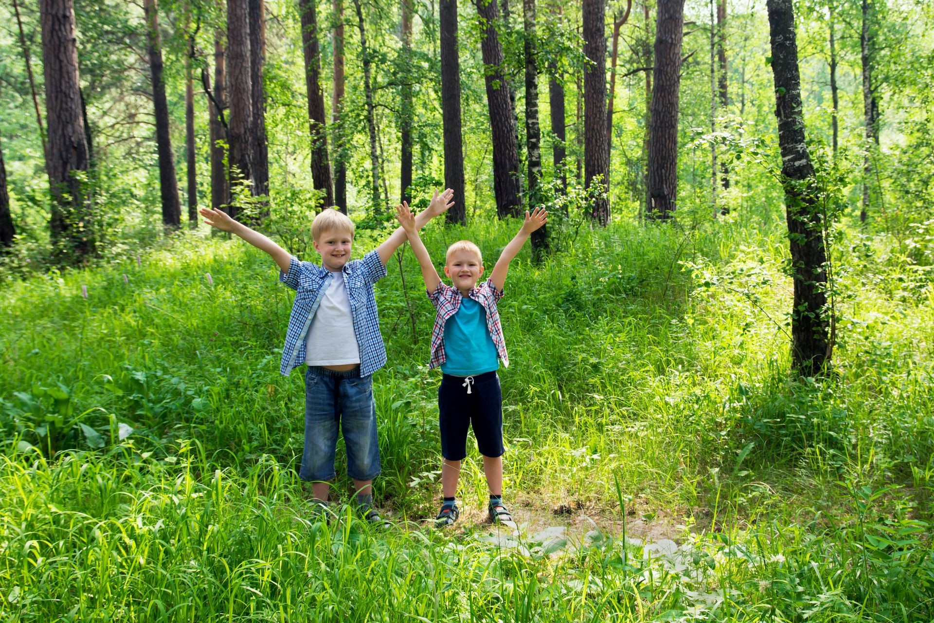 Happy children, boys, friends walking in a summer forest, go hiking and having fun outdoor