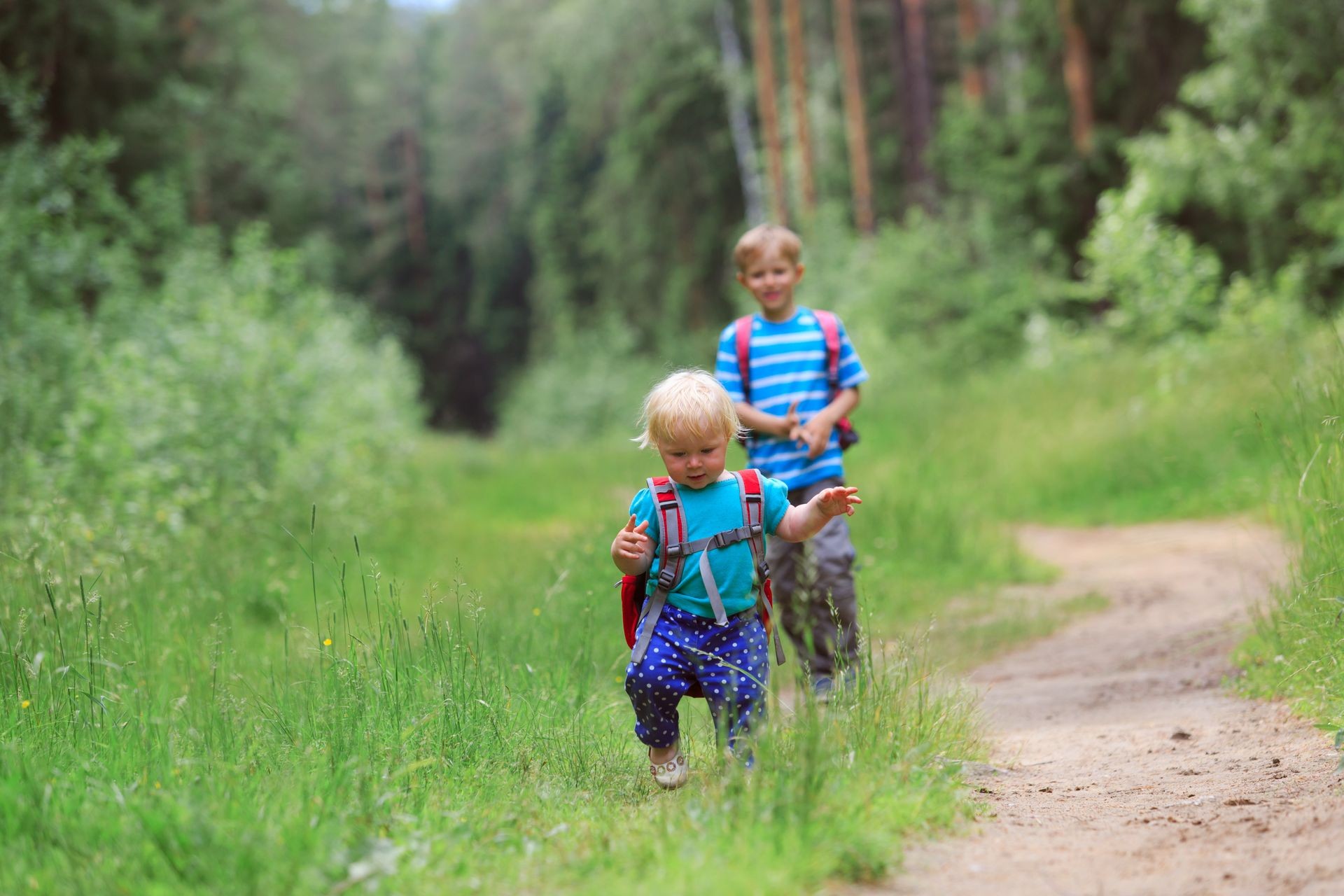kids go to school, daycare or hiking in nature